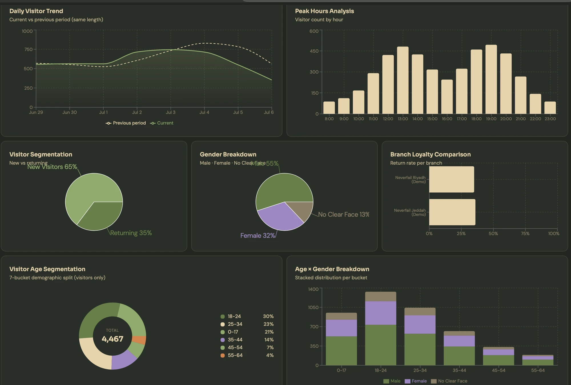 NeverFail Visitor Intelligence dashboard — daily visitor trend, peak hours, segmentation, demographics and branch loyalty comparison